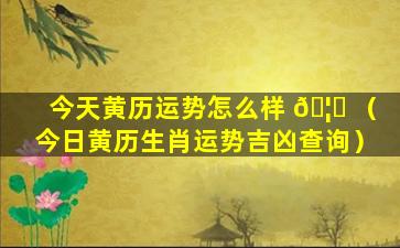 今天黄历运势怎么样 🦆 （今日黄历生肖运势吉凶查询）